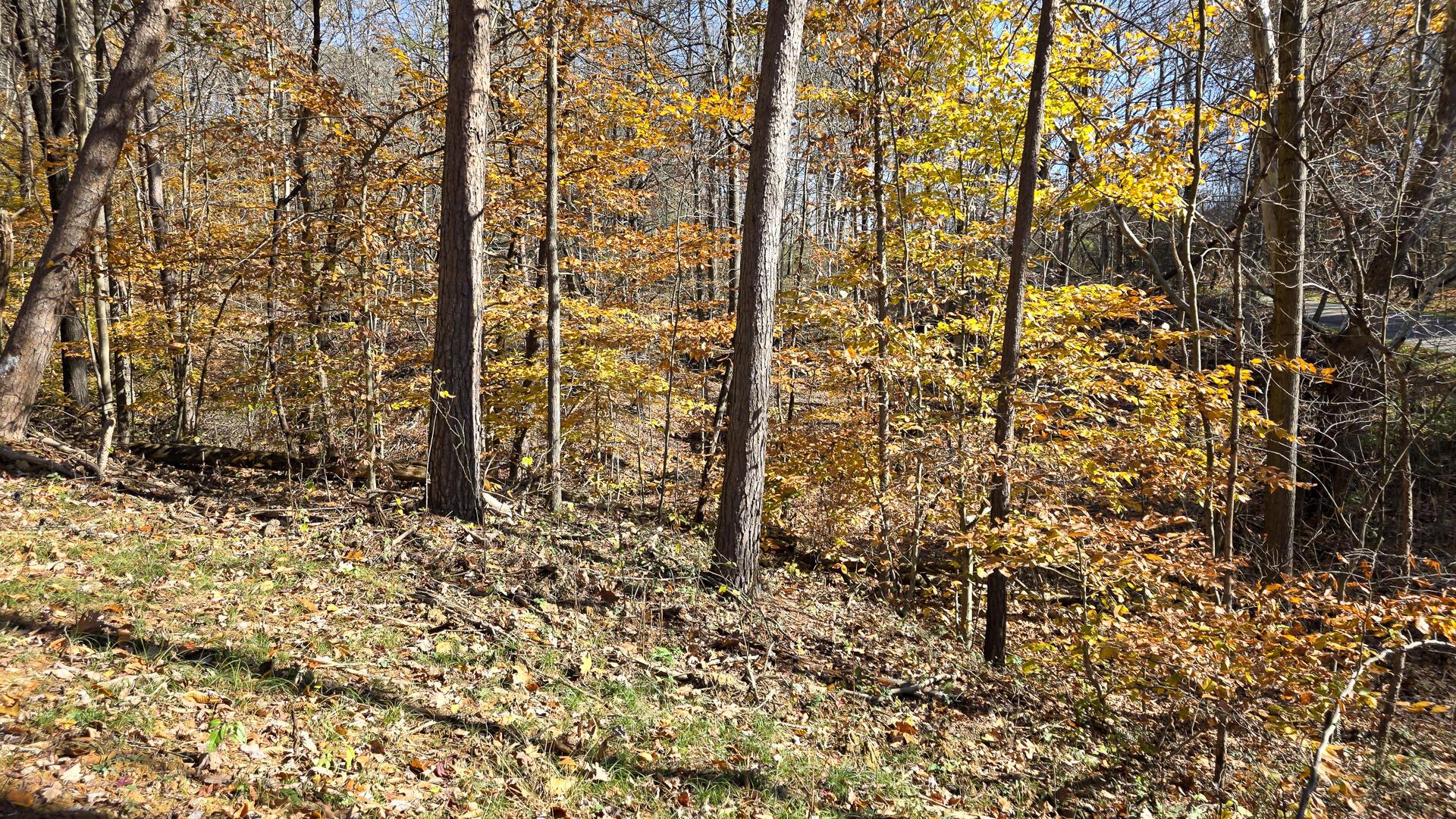 908 Nibert Road, Unit PONDS POPLAR RIDGE TRACT 2) Gallipolis, OH 45631 - Photo 19 of 25 CT-19