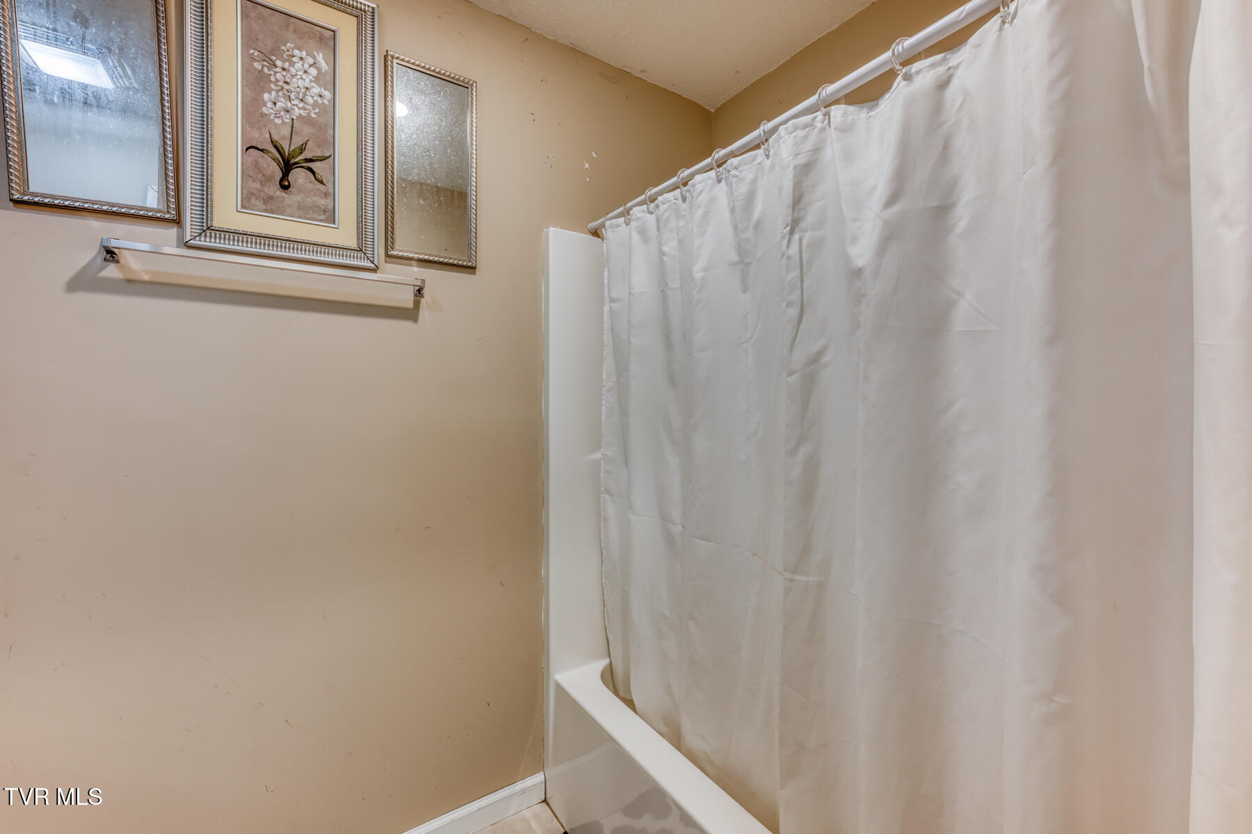 356 Poplar Ridge Road Piney Flats, TN 37686 - Photo 11 of 34 356 Poplar Ridge Rd - Rental-18