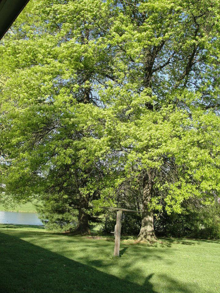12 Gilbert Avenue Dry Ridge, KY 41035 - Photo 19 of 23 Gallery Image 19
