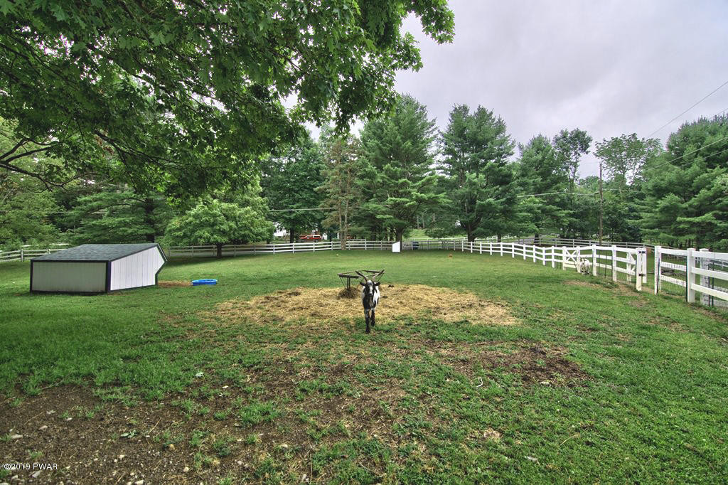 140 Johnny Bee Road Dingmans Ferry, PA 18328 - Photo 35 of 39 Pasture