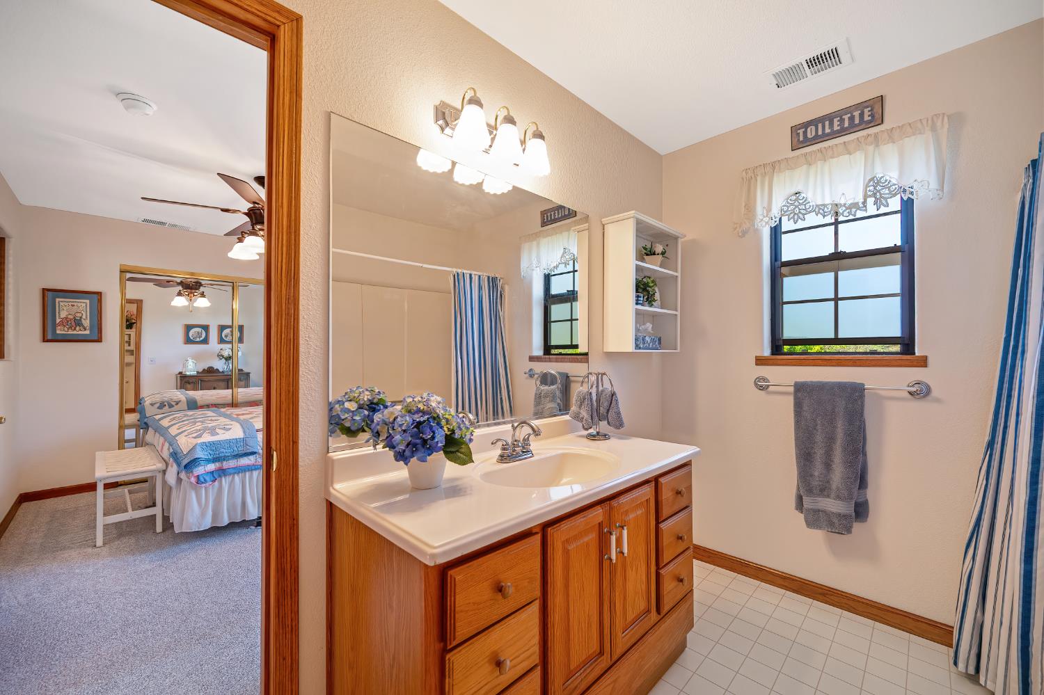 14470 Riva Ridge Circle Auburn, CA 95602 - Photo 37 of 71 a bathroom with a sink a light fixture and a mirror