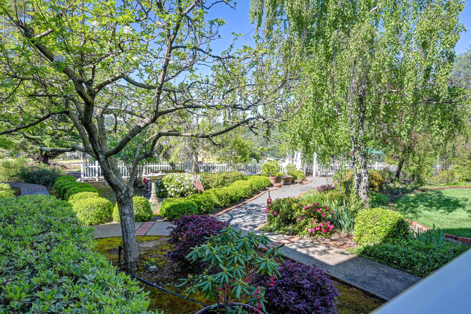 14470 Riva Ridge Circle Auburn, CA 95602 - Photo 39 of 71 a view of garden with flowers and trees
