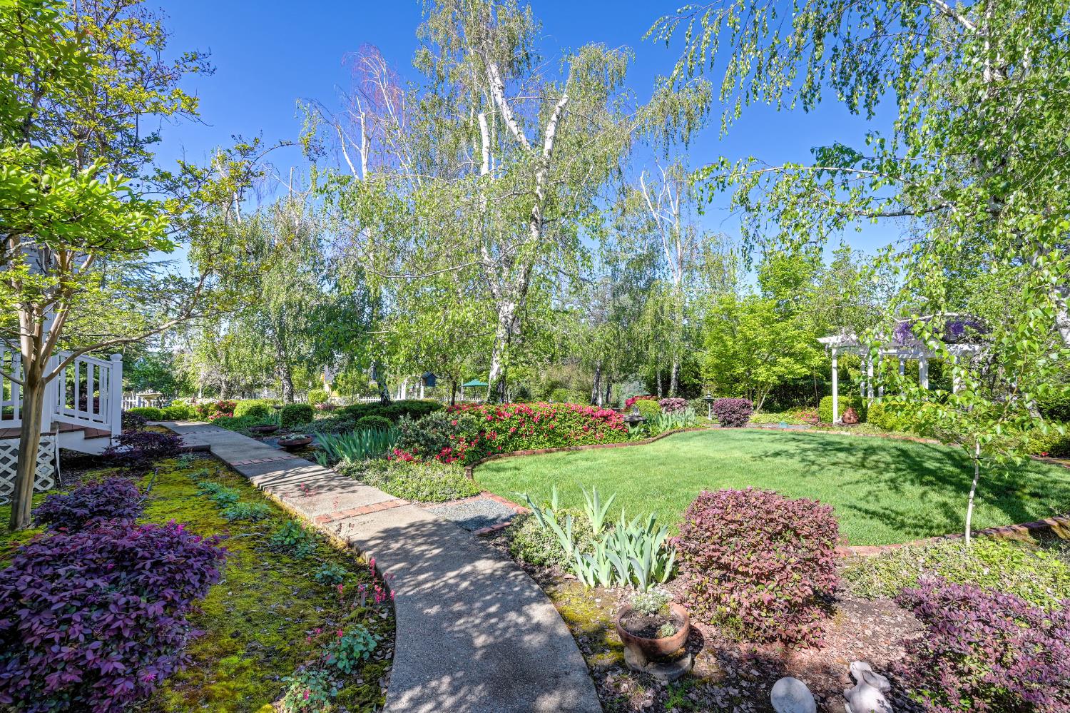 14470 Riva Ridge Circle Auburn, CA 95602 - Photo 41 of 71 a view of a garden with plants and trees