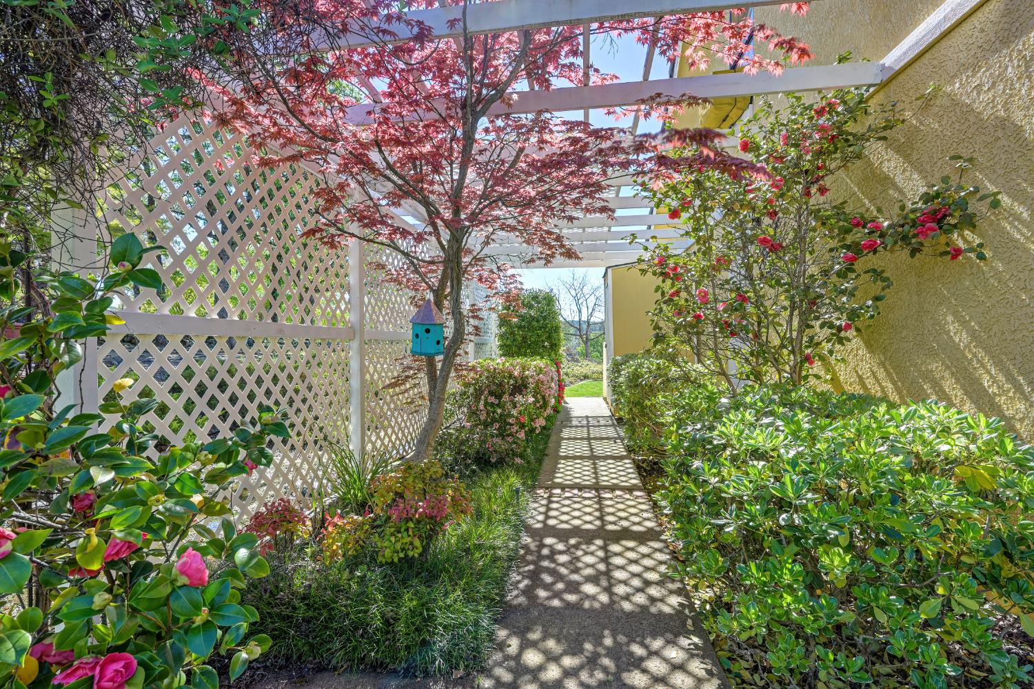 14470 Riva Ridge Circle Auburn, CA 95602 - Photo 48 of 71 a view of a garden with flowers