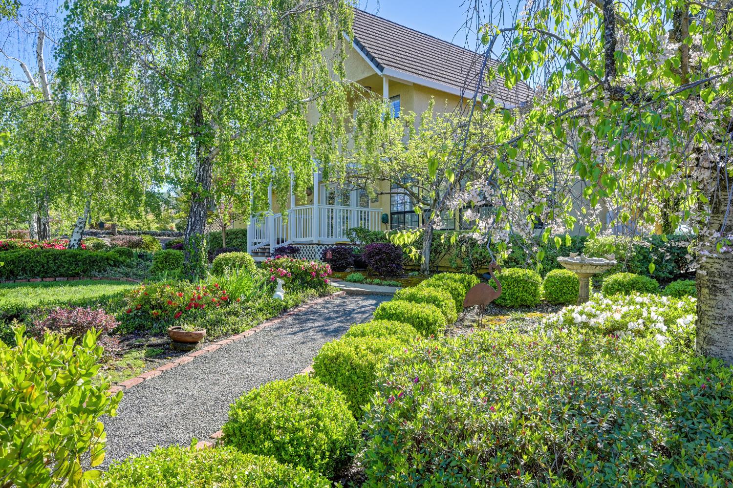 14470 Riva Ridge Circle Auburn, CA 95602 - Photo 50 of 71 a view of a garden with plants