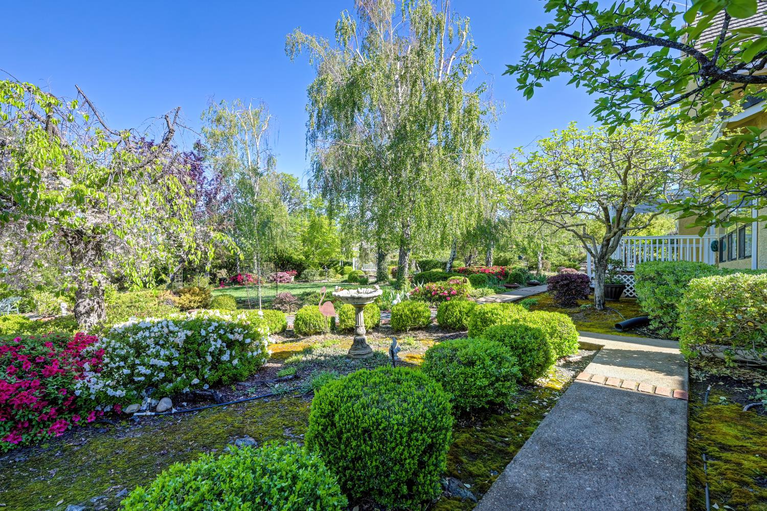 14470 Riva Ridge Circle Auburn, CA 95602 - Photo 58 of 71 a view of a garden with flowers and trees