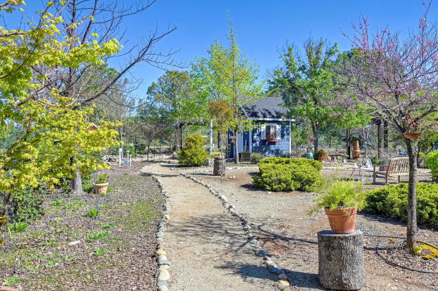 14470 Riva Ridge Circle Auburn, CA 95602 - Photo 59 of 71 a park view with potted plants and large trees