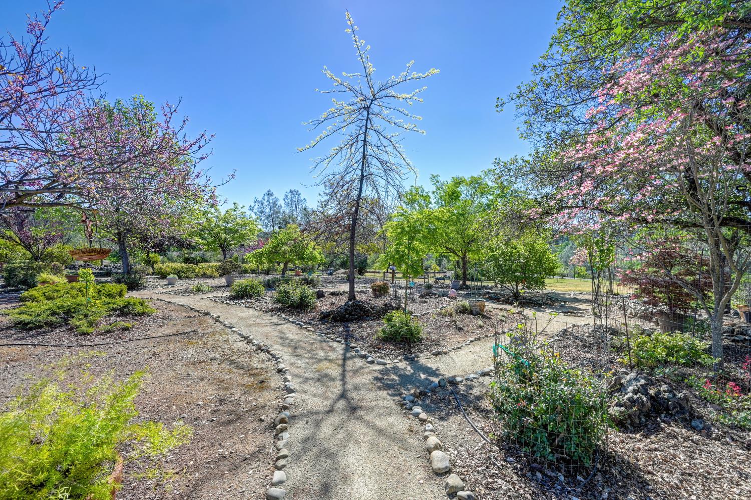 14470 Riva Ridge Circle Auburn, CA 95602 - Photo 60 of 71