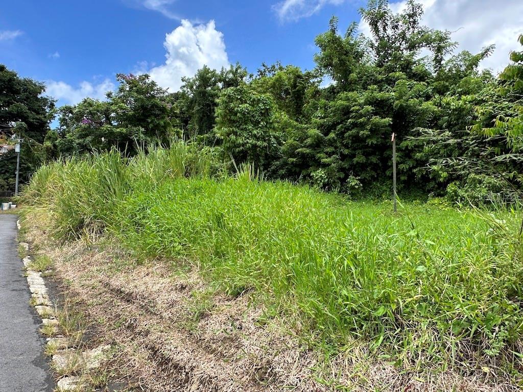 956 Guzman Arriba Wd Rio Grande, PR 00745 - Photo 1 of 1 Gallery Image 1