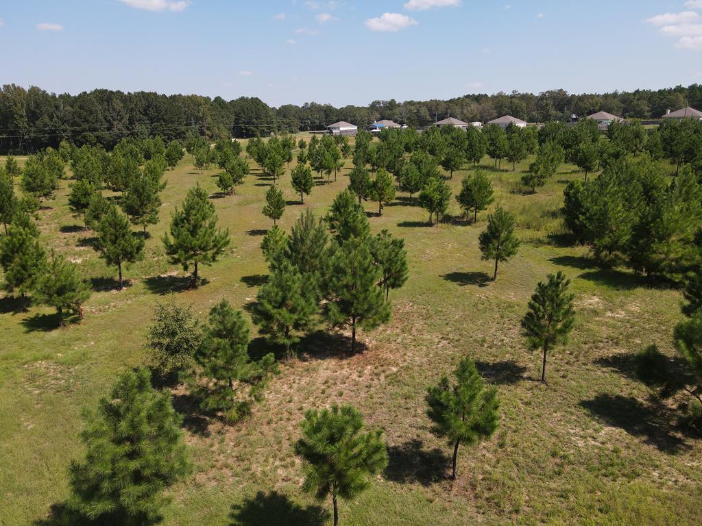 1454 Middleton Road Dothan, AL 36301 - Photo 6 of 21