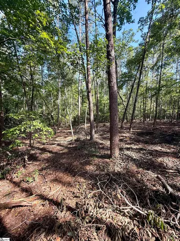 $425,000 | 0 Thompson Road, Unit LOT 2, Greer, SC 29651
