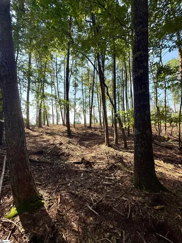 $425,000 | 0 Thompson Road, Unit LOT 2, Greer, SC 29651