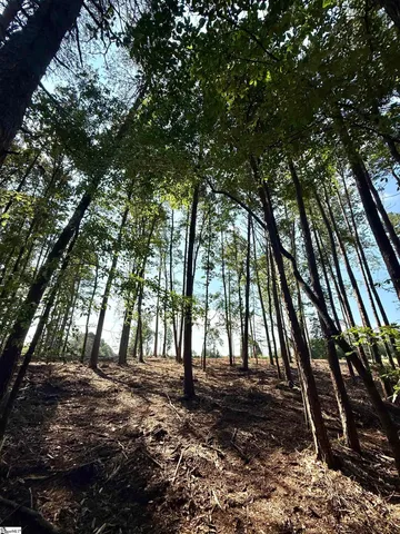 $425,000 | 0 Thompson Road, Unit LOT 2, Greer, SC 29651