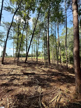 $425,000 | 0 Thompson Road, Unit LOT 2, Greer, SC 29651