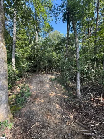 $425,000 | 0 Thompson Road, Unit LOT 2, Greer, SC 29651