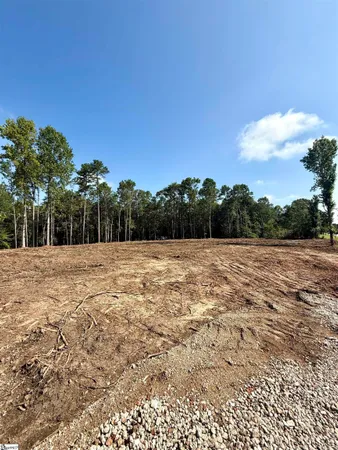 $425,000 | 0 Thompson Road, Unit LOT 2, Greer, SC 29651
