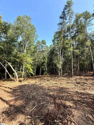 $425,000 | 0 Thompson Road, Unit LOT 2, Greer, SC 29651