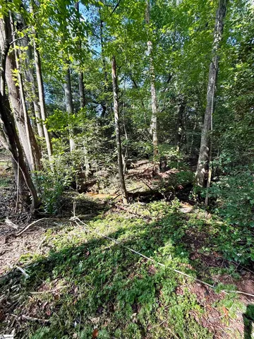 $425,000 | 0 Thompson Road, Unit LOT 2, Greer, SC 29651