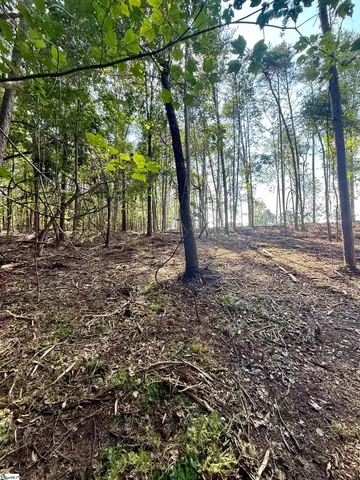 $425,000 | 0 Thompson Road, Unit LOT 2, Greer, SC 29651