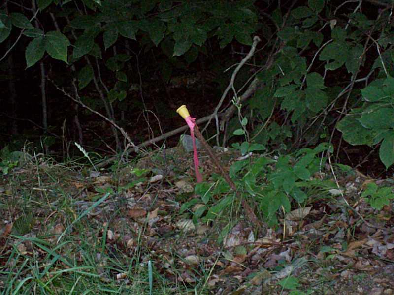 Lot 13 Arab Road Lee, ME 04455 - Photo 8 of 11 Land/Lot.
