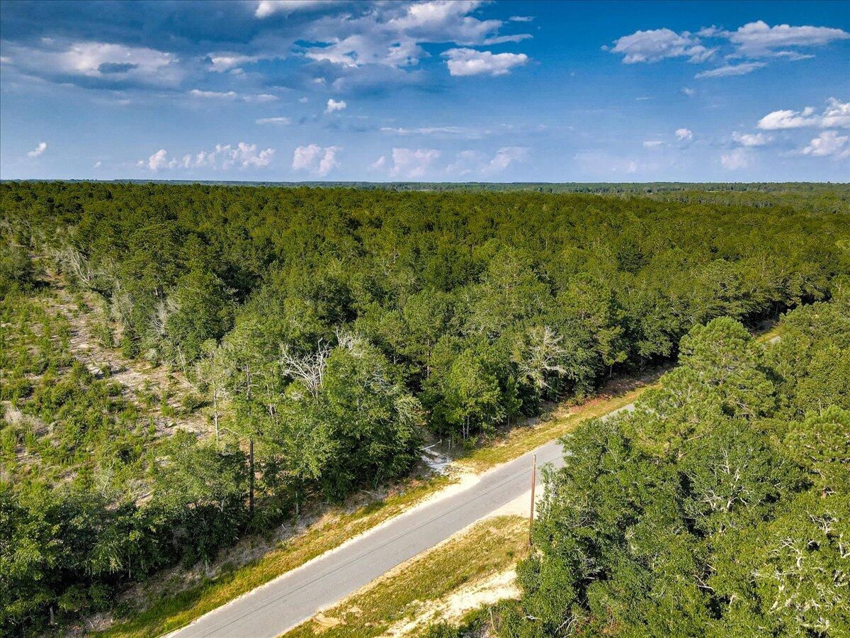 0 Millers Pond Road, Unit 1 Salley, SC 29137 - Photo 8 of 22