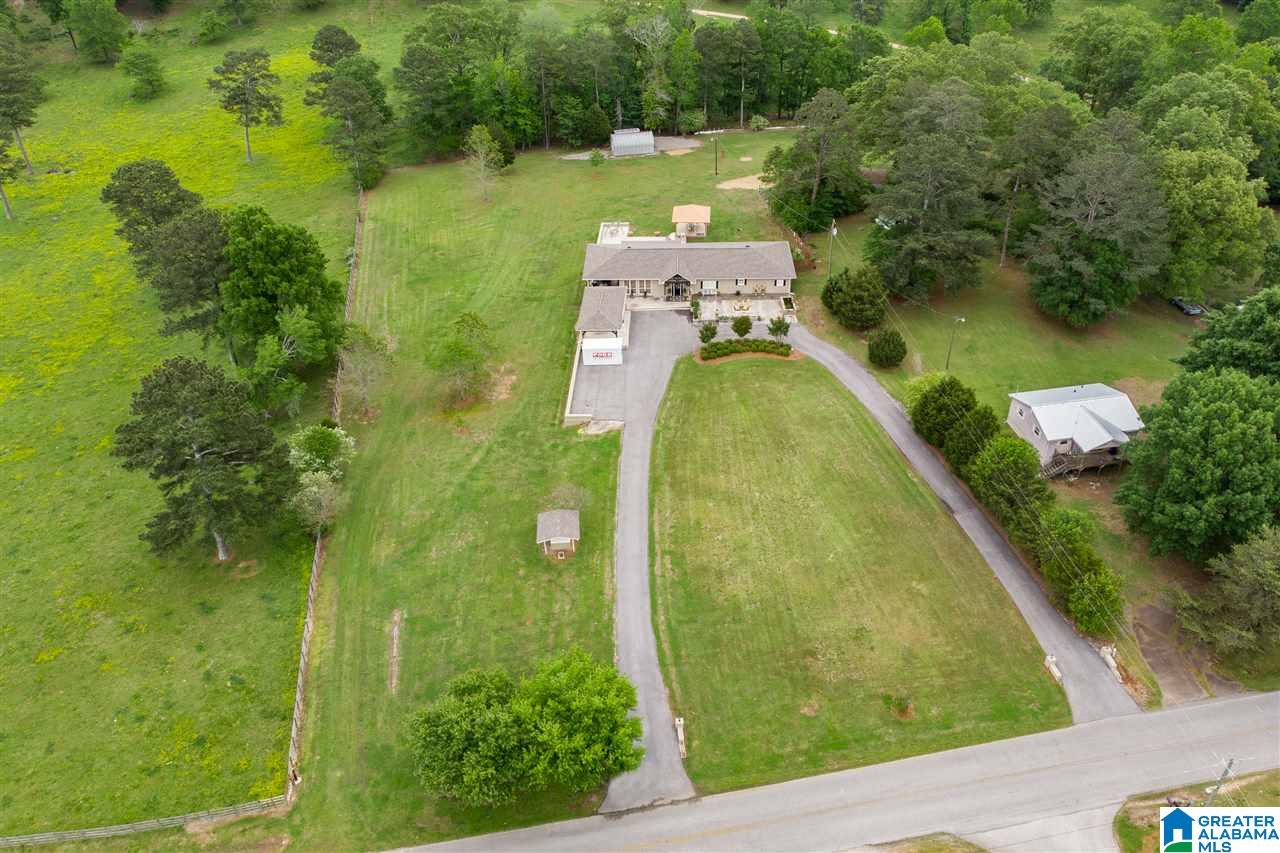 7770 Dry Creek Road Pell City, AL 35128 - Photo 42 of 49