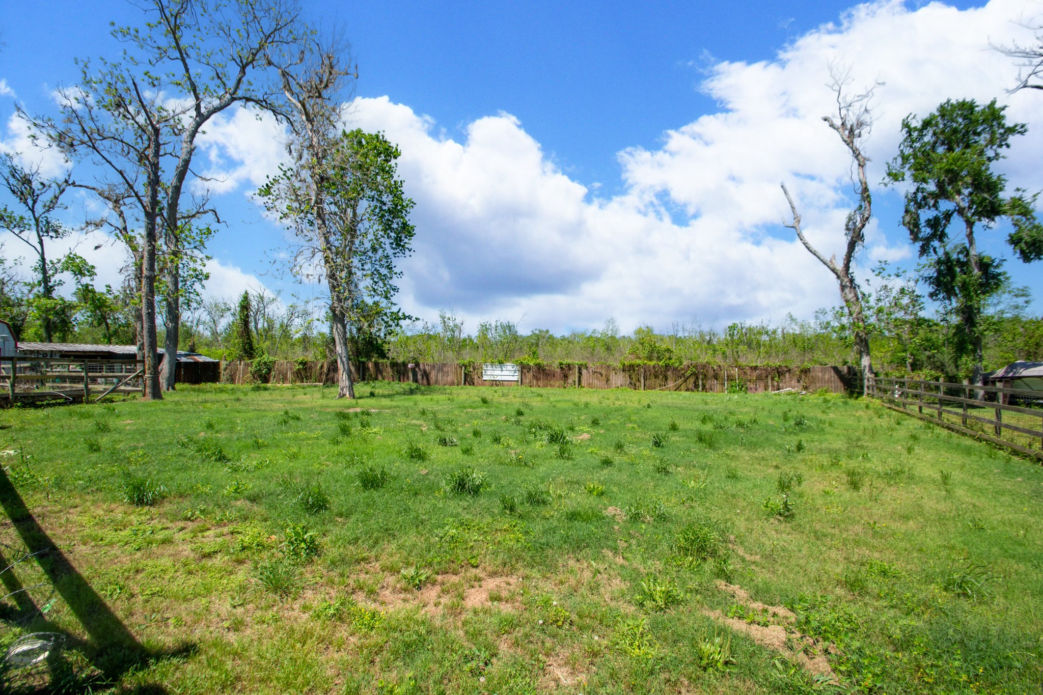 400 Pecan Estates Road, Unit C616R Angleton, TX 77515 - Photo 18 of 49 a view of a garden