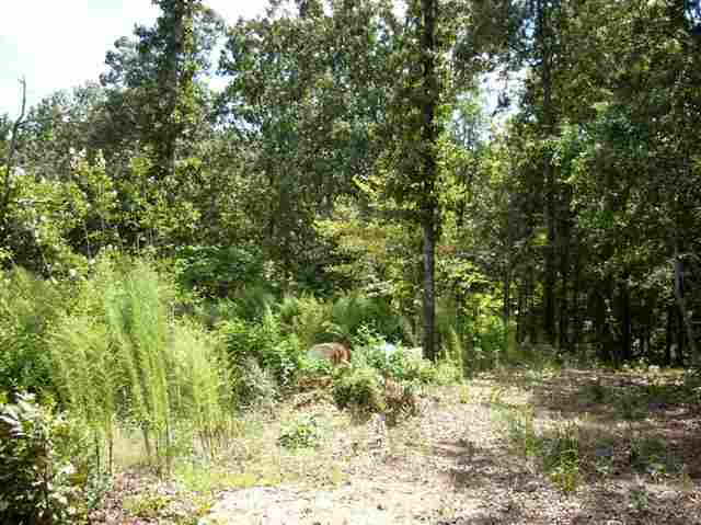 496 Browning Road Central, SC 29630 - Photo 22 of 23