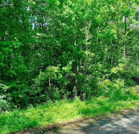 $100,000 | 0 Ferito, Buna, TX 77612