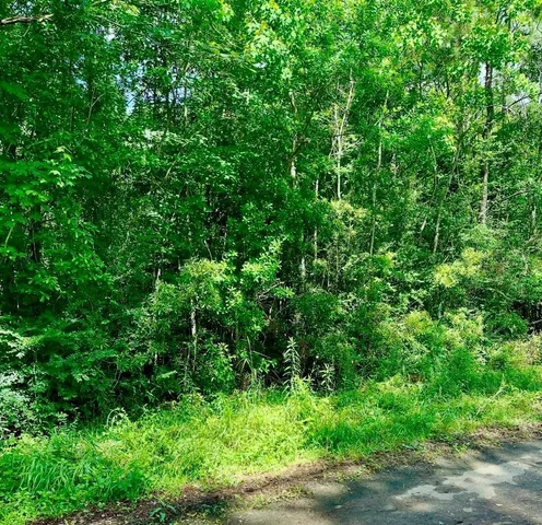 $100,000 | 0 Ferito, Buna, TX 77612