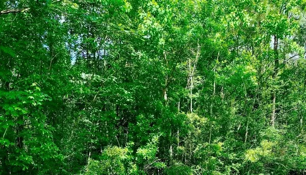 $100,000 | 0 Ferito, Buna, TX 77612