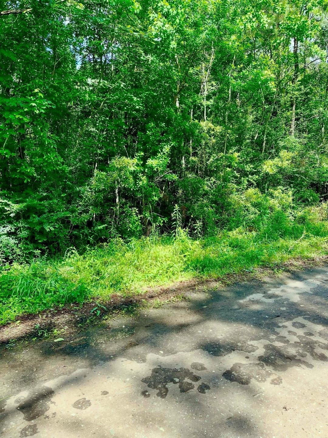 0 Ferito Buna, TX 77612 - Photo 6 of 9