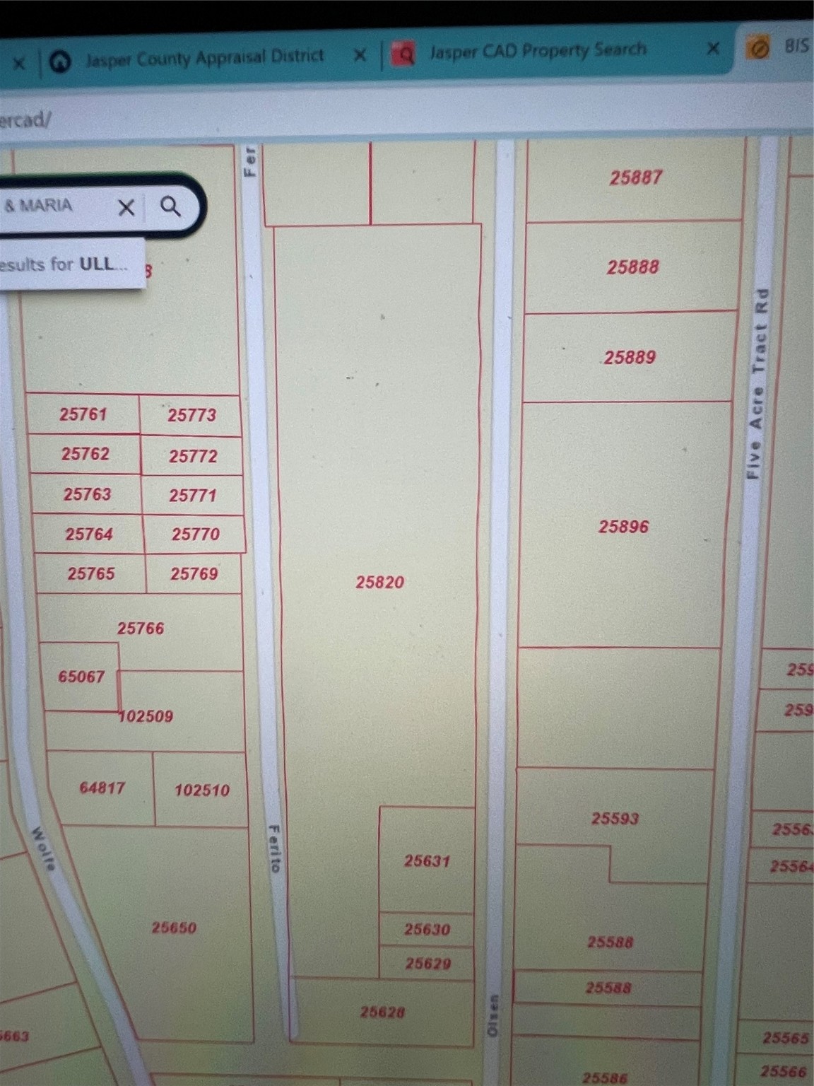 0 Ferito Buna, TX 77612 - Photo 7 of 9