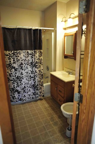 100 1st Street, Unit 4 Standard, IL 61363 - Photo 12 of 24