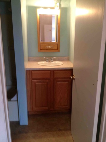 100 1st Street, Unit 4 Standard, IL 61363 - Photo 18 of 24