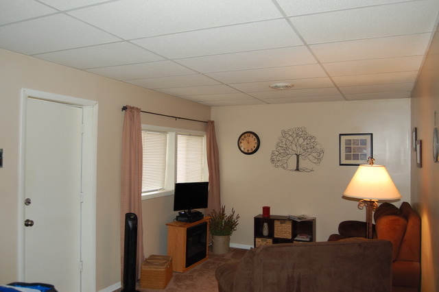 100 1st Street, Unit 4 Standard, IL 61363 - Photo 20 of 24
