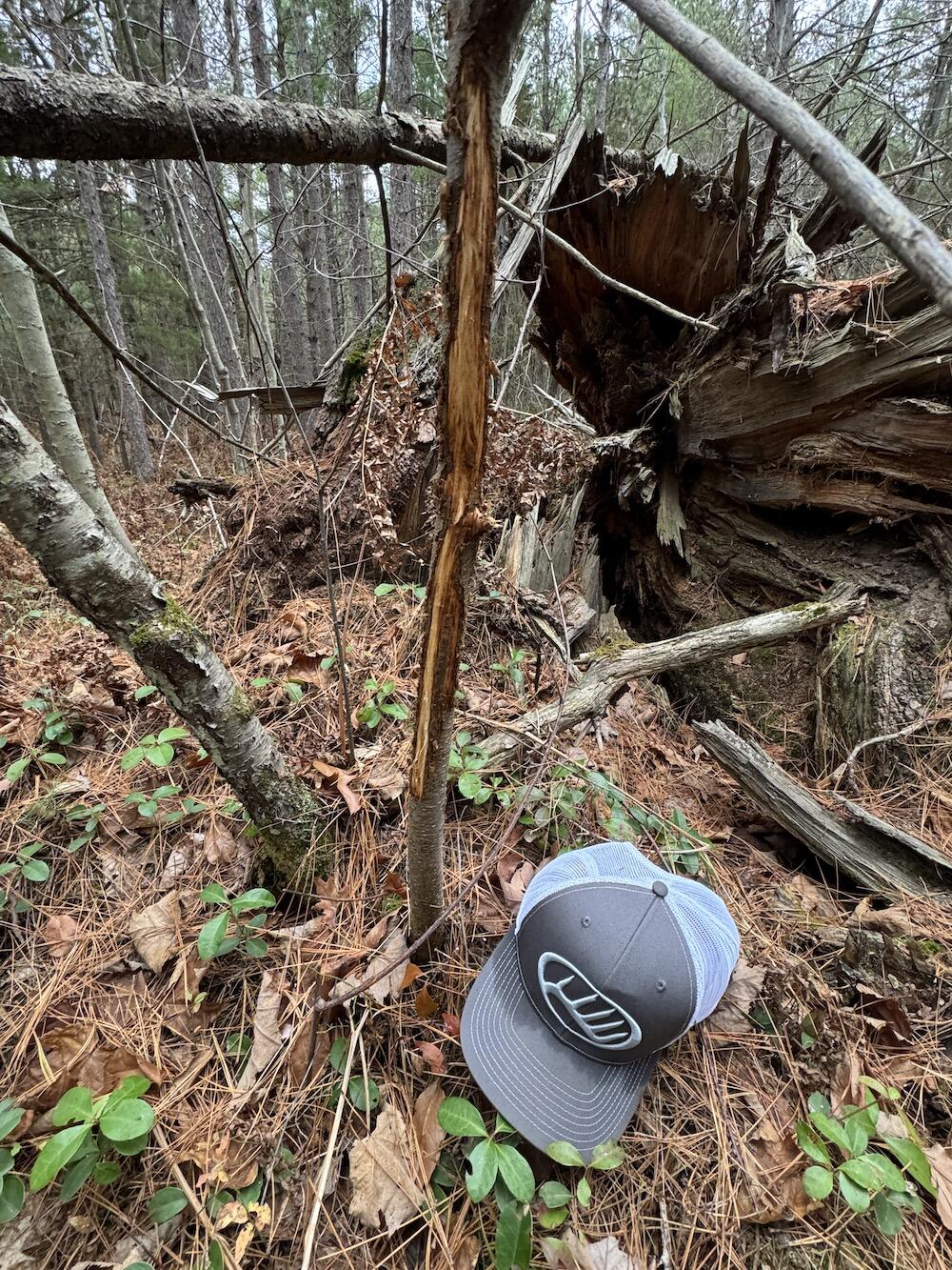 Vl Riverview Road Southeast Kalkaska, MI 49646 - Photo 22 of 40 IMG_6880