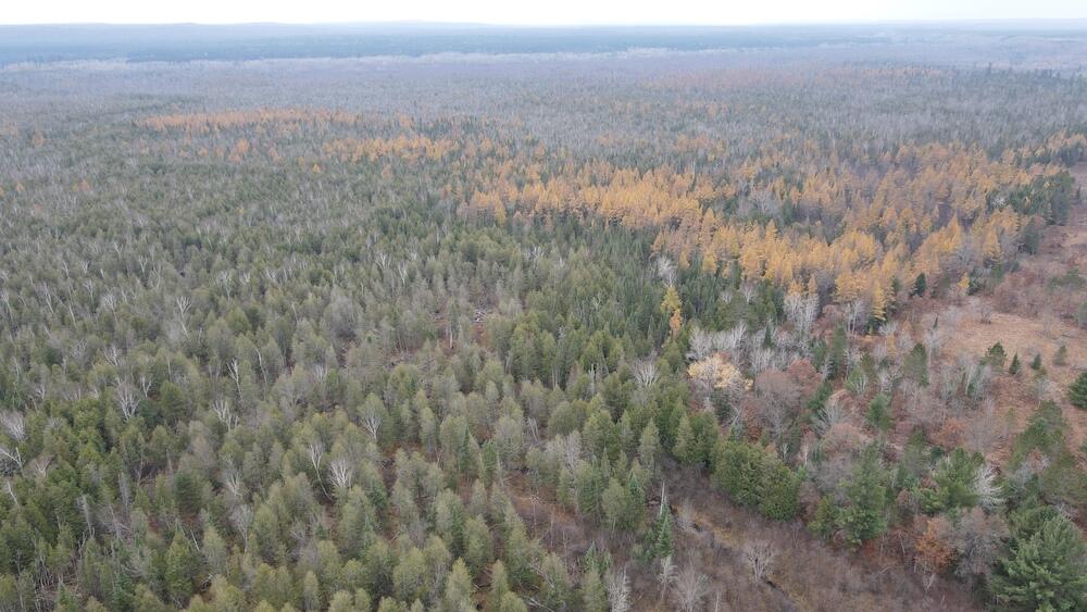 Vl Riverview Road Southeast Kalkaska, MI 49646 - Photo 29 of 40 DJI_0728