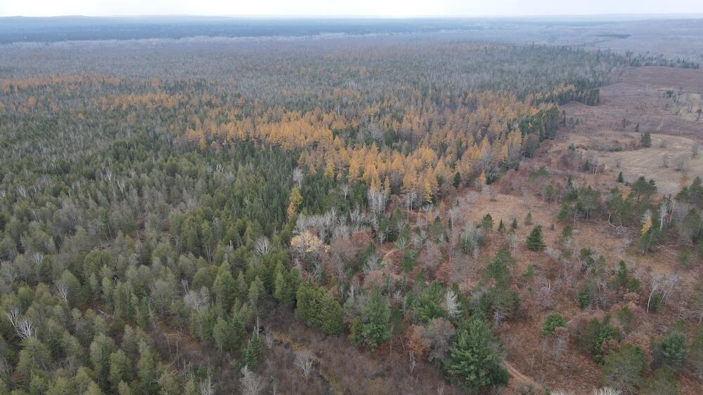 Vl Riverview Road Southeast Kalkaska, MI 49646 - Photo 30 of 40 DJI_0729