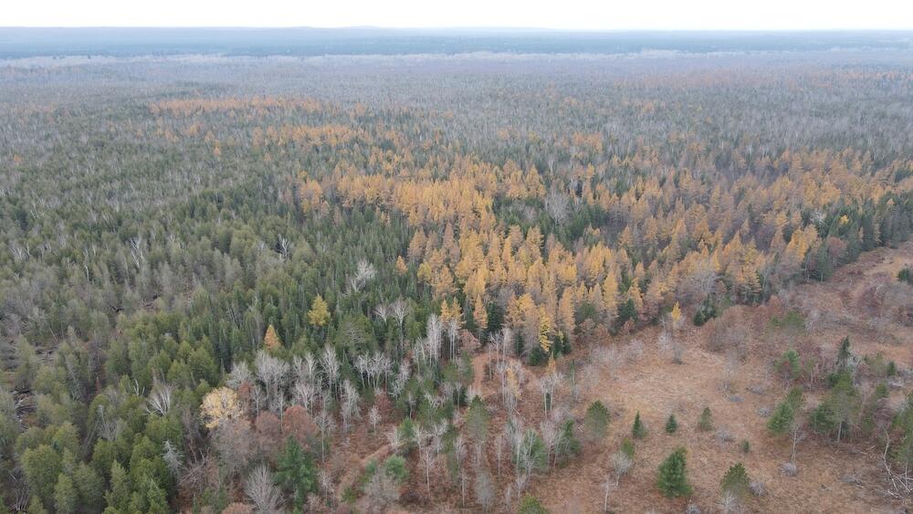 Vl Riverview Road Southeast Kalkaska, MI 49646 - Photo 34 of 40 DJI_0733