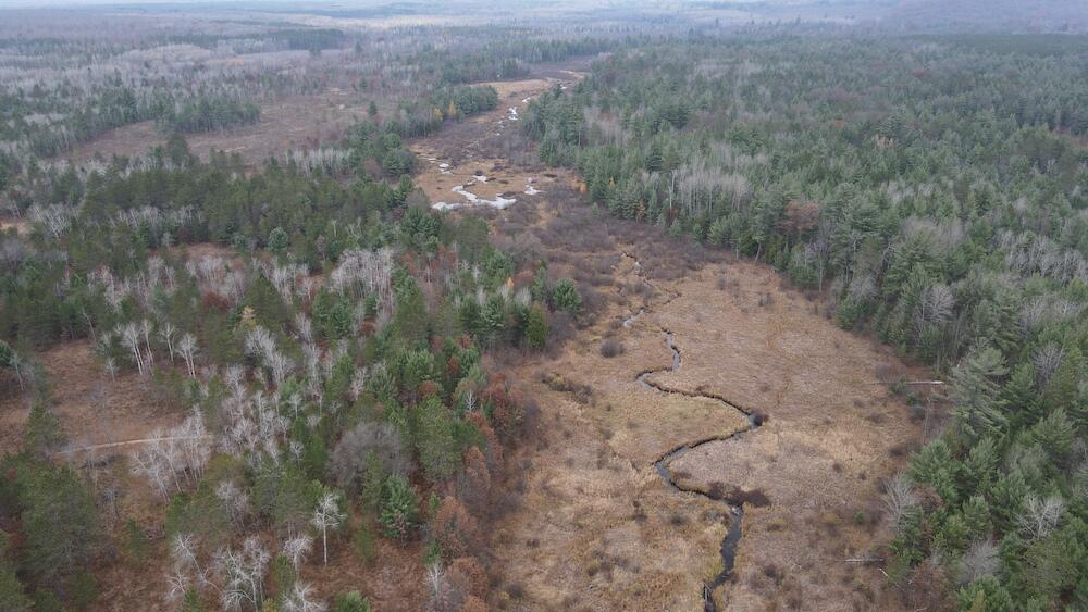 Vl Riverview Road Southeast Kalkaska, MI 49646 - Photo 35 of 40 DJI_0734