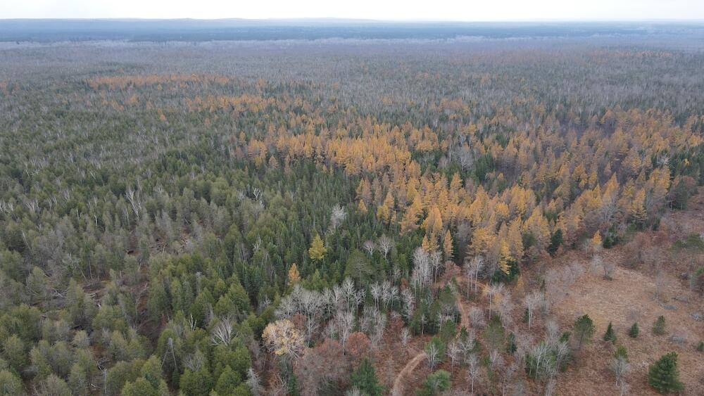 Vl Riverview Road Southeast Kalkaska, MI 49646 - Photo 36 of 40 DJI_0735