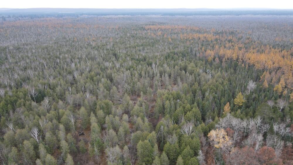 Vl Riverview Road Southeast Kalkaska, MI 49646 - Photo 37 of 40 DJI_0736