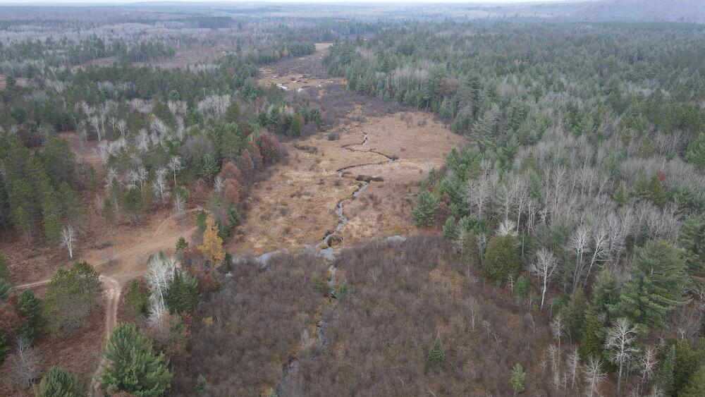 Vl Riverview Road Southeast Kalkaska, MI 49646 - Photo 40 of 40 DJI_0739