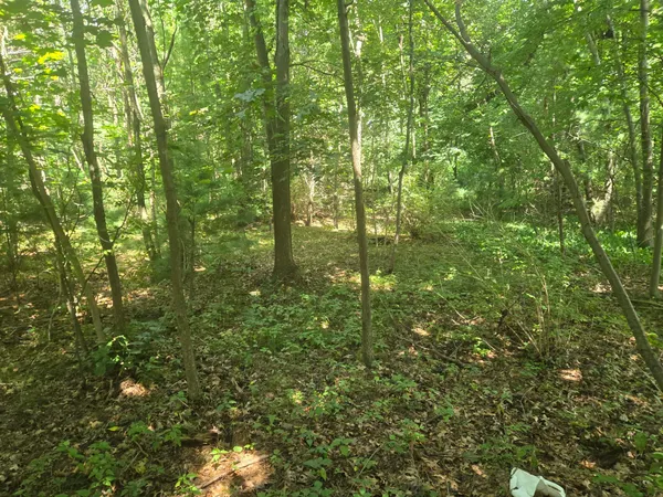 $49,900 | Vl Whitehall Road, Whitehall, MI 49461