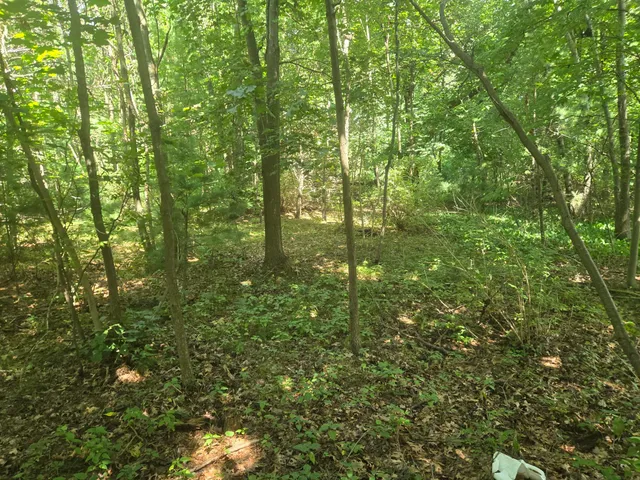 $49,900 | Vl Whitehall Road, Whitehall, MI 49461