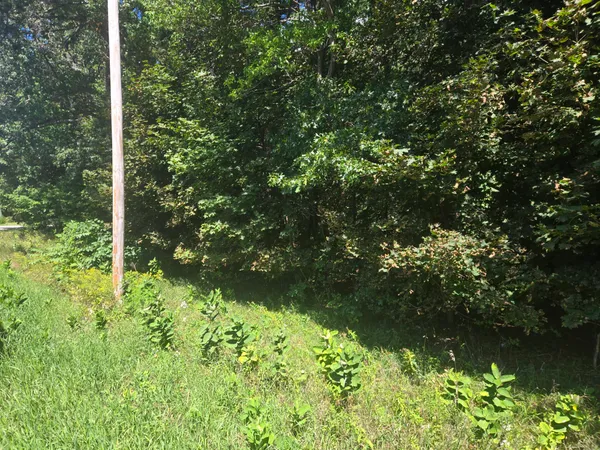 $47,850 | Vl Whitehall Road, Whitehall, MI 49461