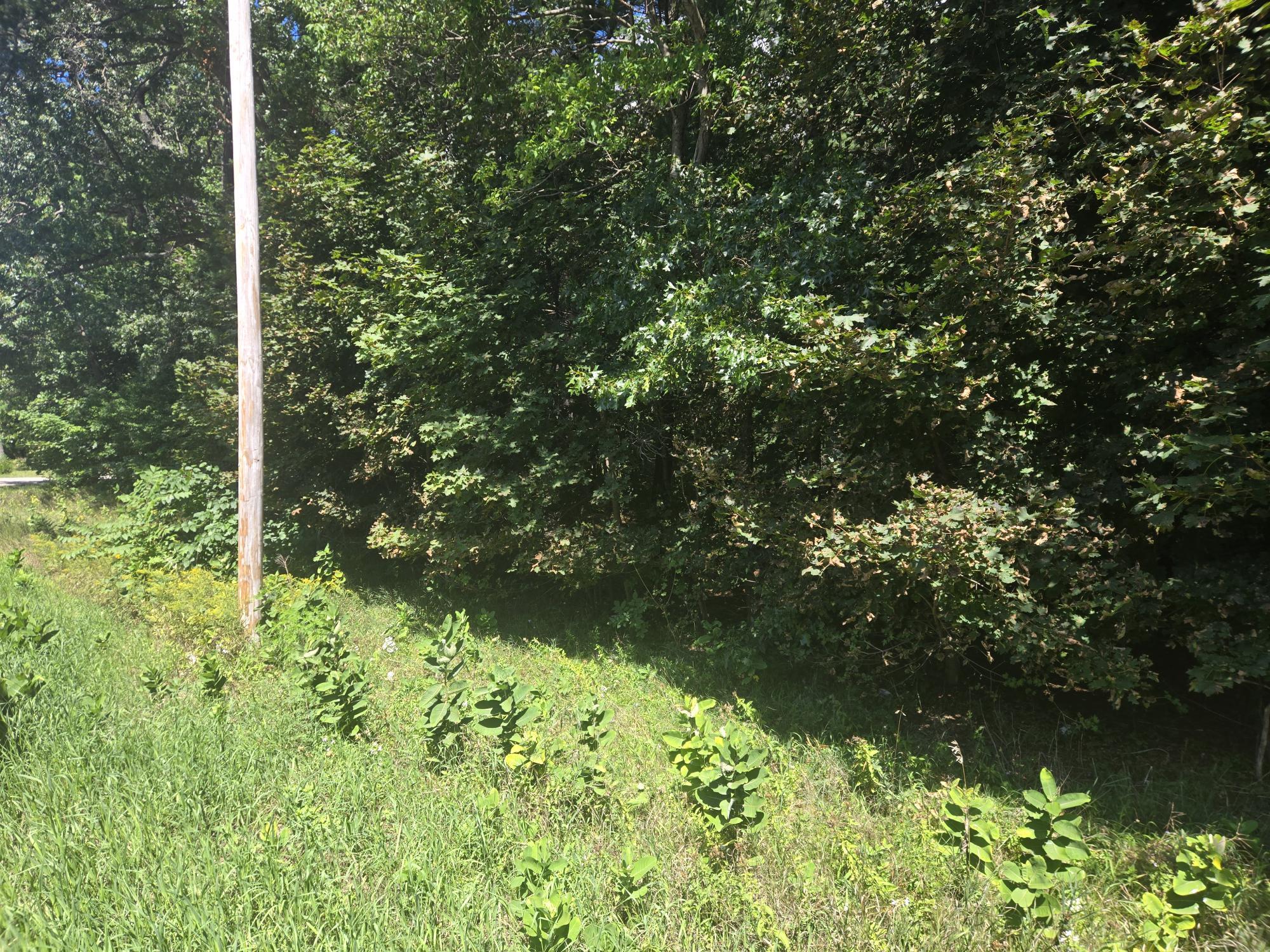 Vl Whitehall Road Whitehall, MI 49461 - Photo 2 of 4 1000005419