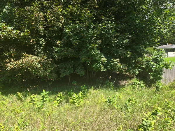 $47,850 | Vl Whitehall Road, Whitehall, MI 49461