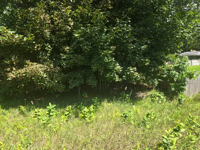 $49,900 | Vl Whitehall Road, Whitehall, MI 49461